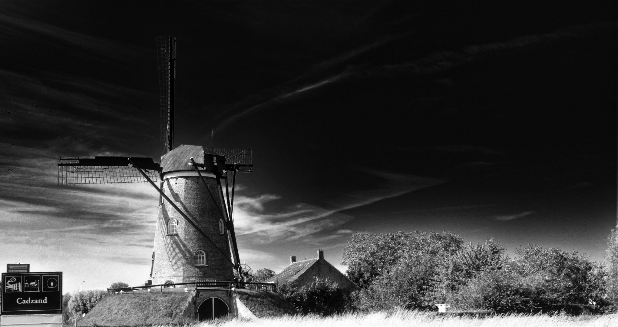 Mühle in Cadzand/ NL/ Zeeland