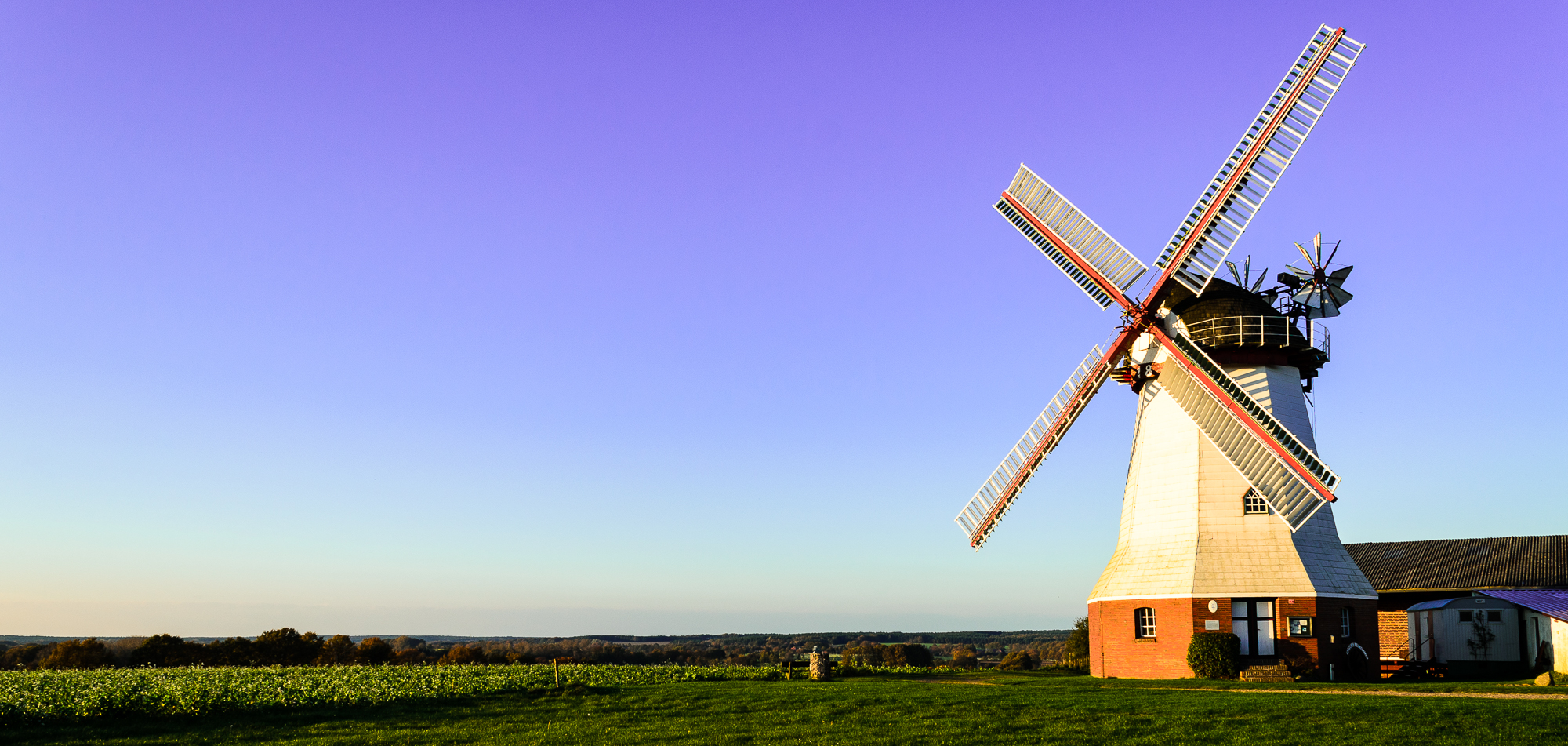 Mühle in der Lüneburger Heide Color