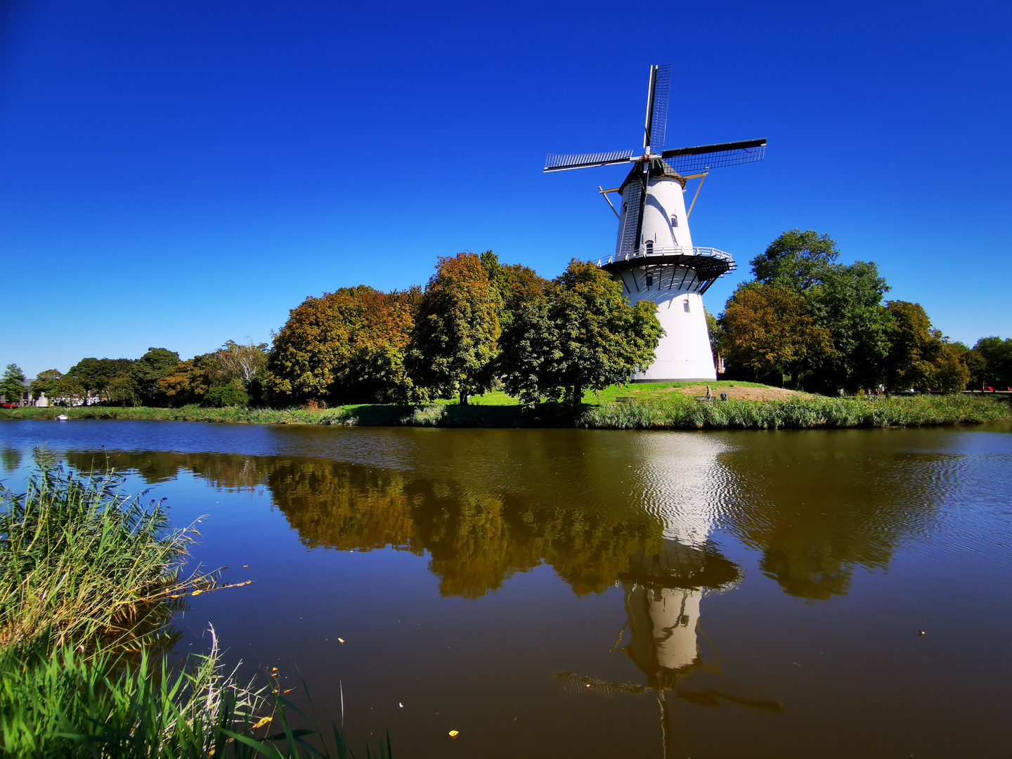 Mühle in Domburg