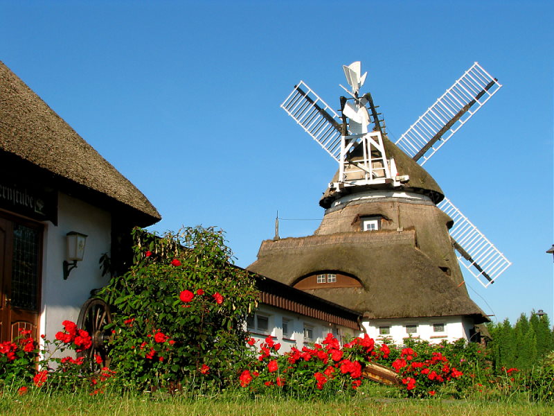 Mühle in Dorf Mecklenburg