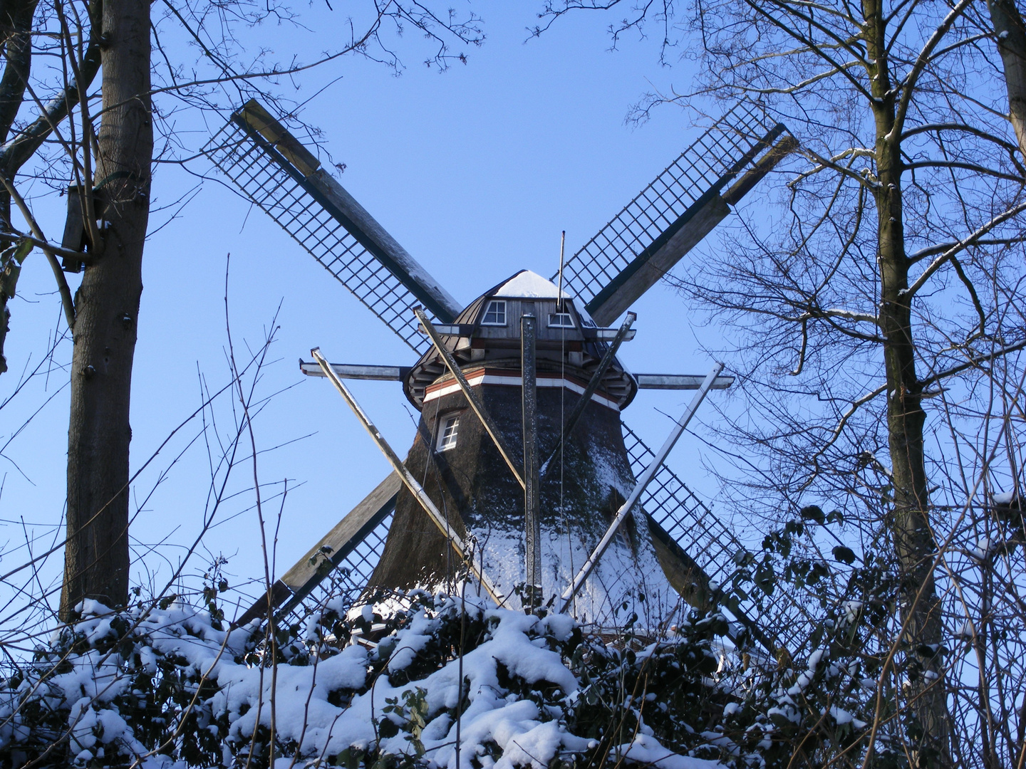 Mühle in Emden