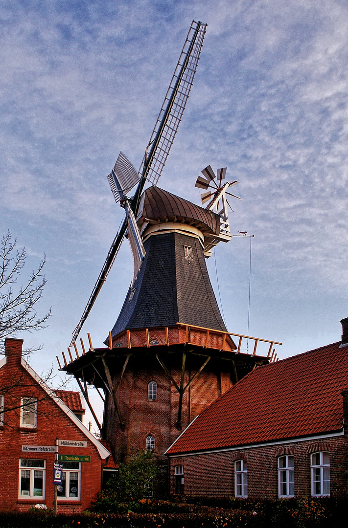 Mühle in Jemgum Ditzum