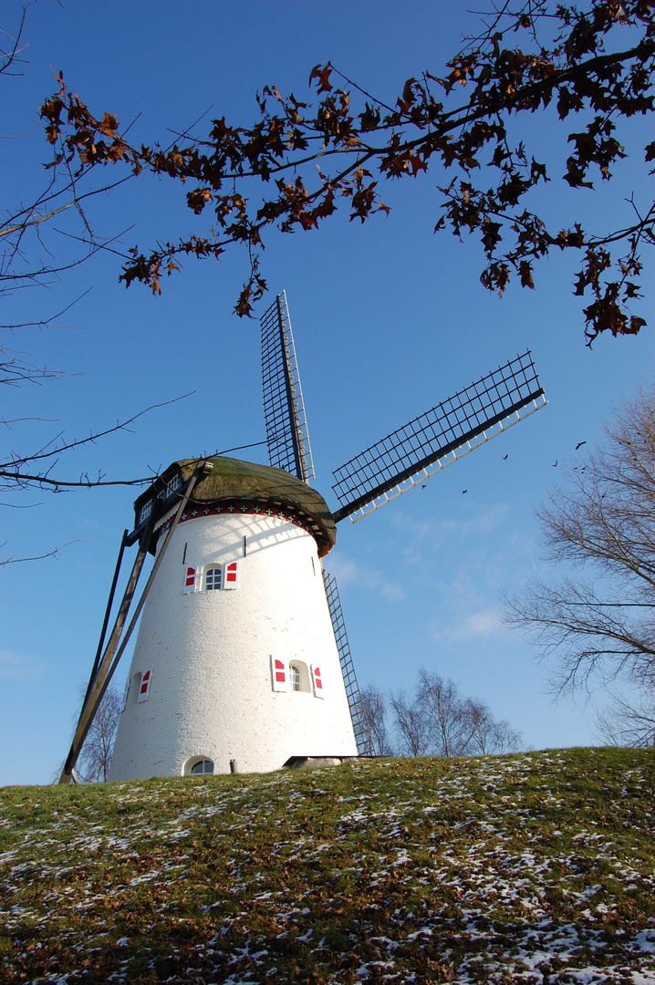 Mühle in Keeken