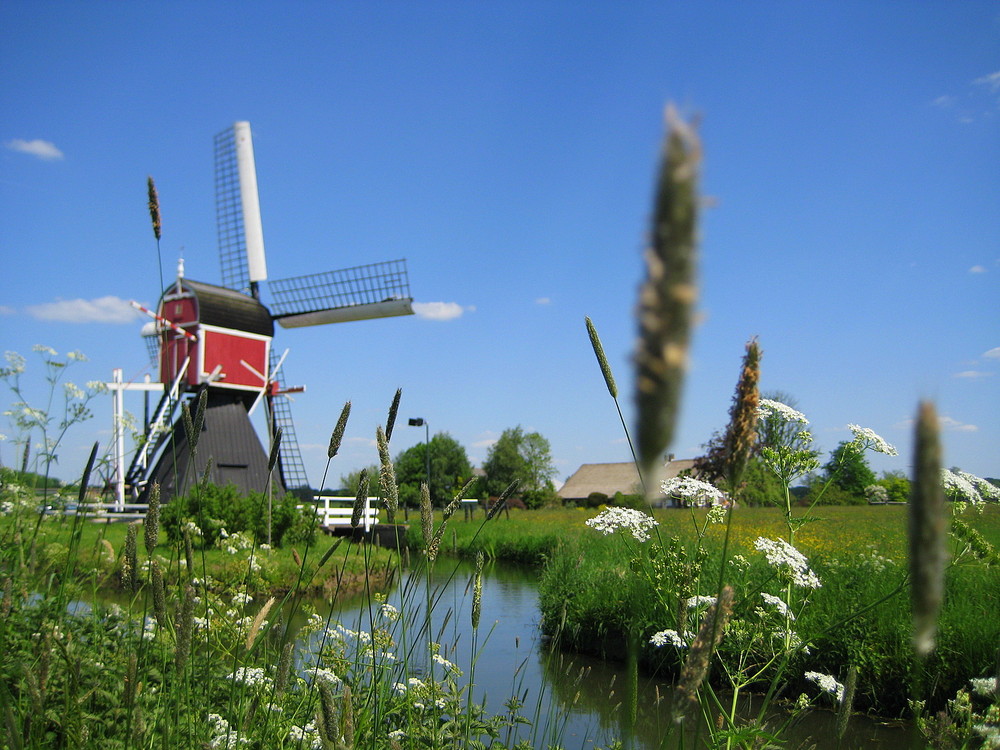 Mühle in Maarssen