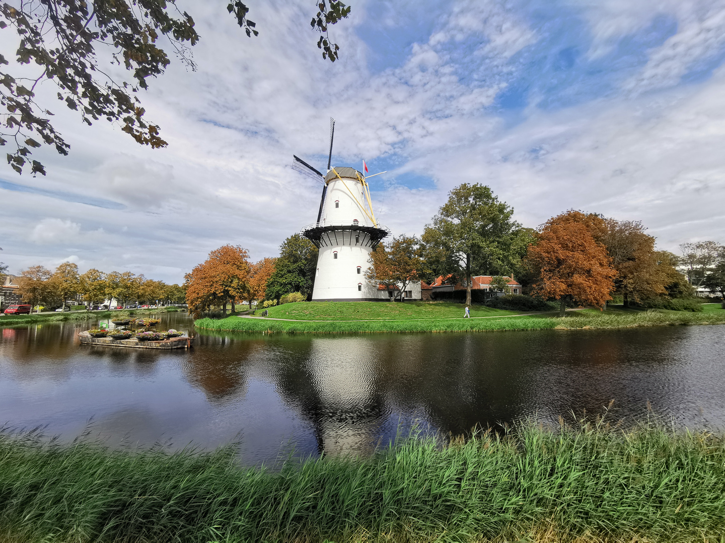 Mühle in Middelburg