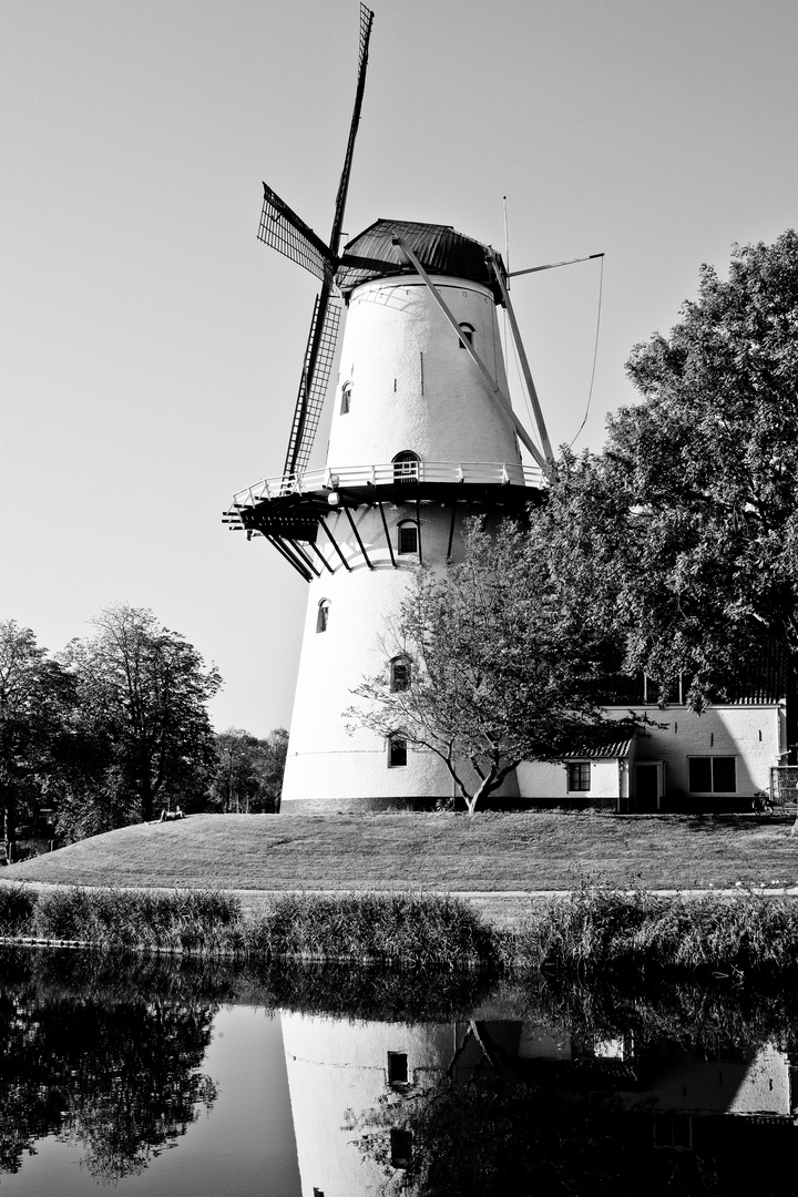 Mühle in Middelburg