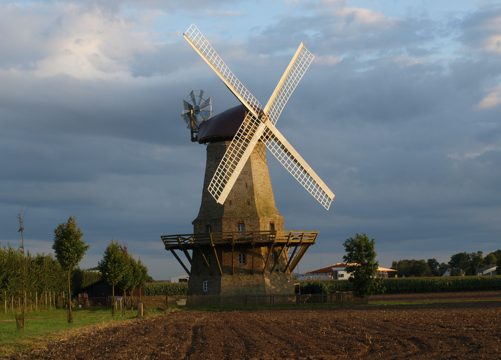 Mühle in Neuenkirchen