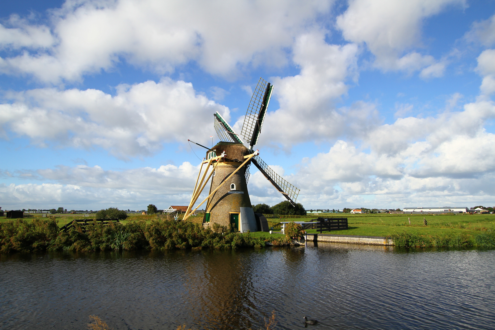 Mühle in Noordwijk