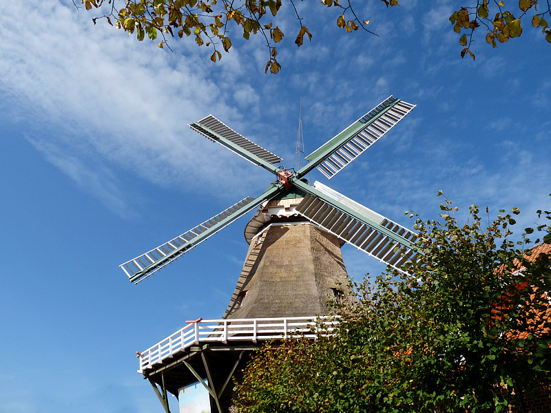 Mühle in Ostgroßefehn bei Aurich