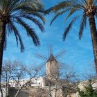 Mühle in Palma de Mallorca