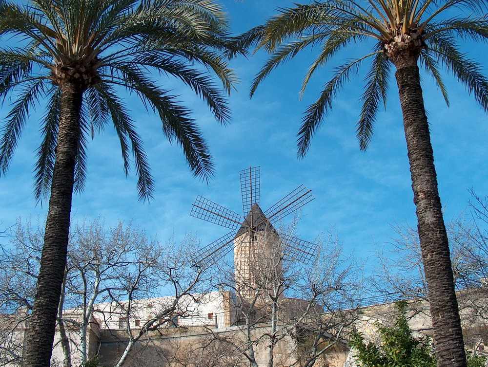 Mühle in Palma de Mallorca