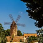 Mühle in Palma de Mallorca