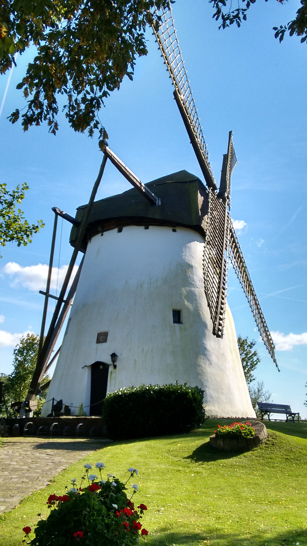 Mühle in Reken