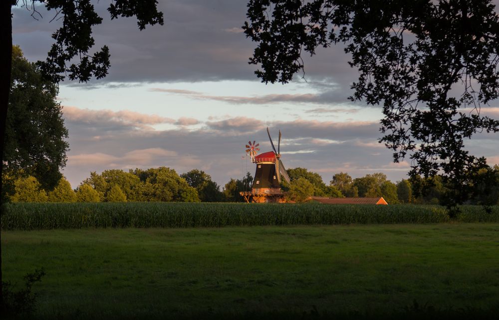 Mühle in Rhaude