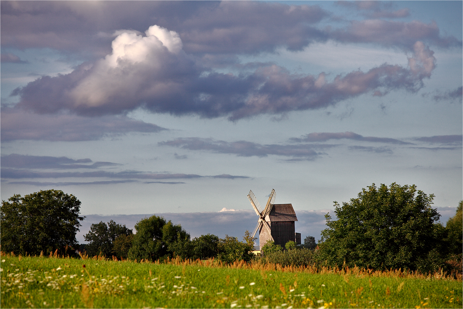 Mühle in Schwante