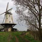 Mühle in Veere