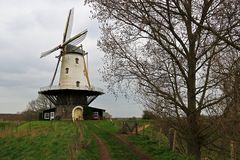 Mühle in Veere