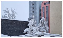 Mühle Matzingen im Winter