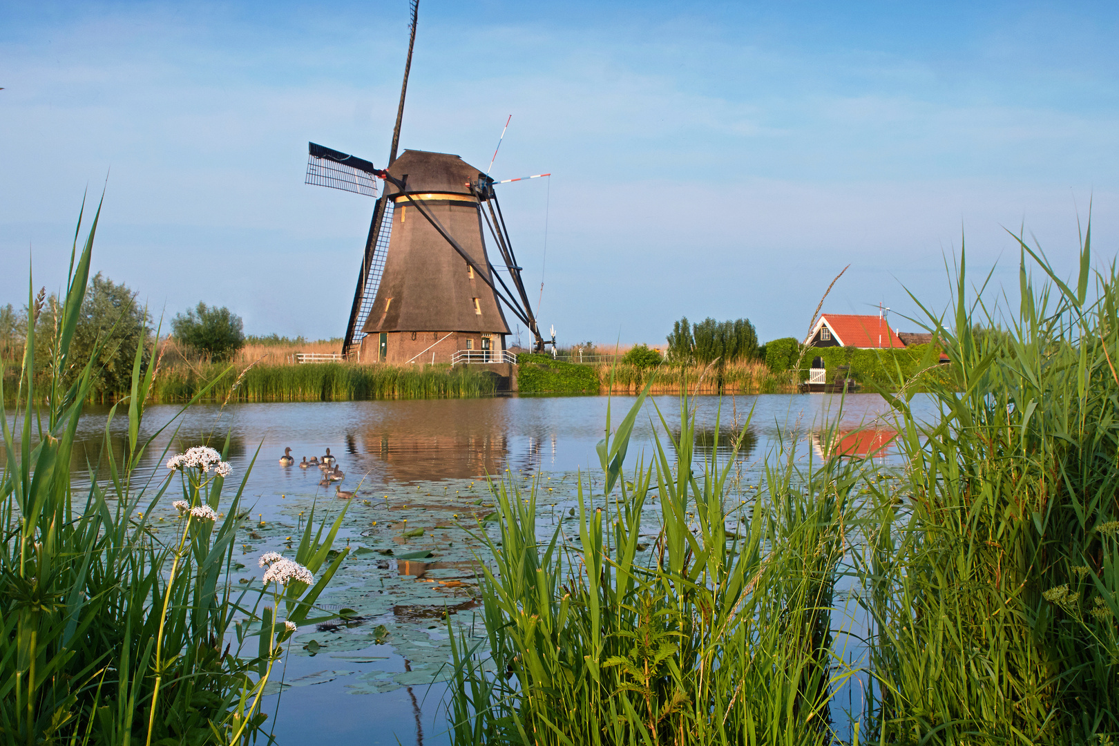 Mühle mit Spiegelung