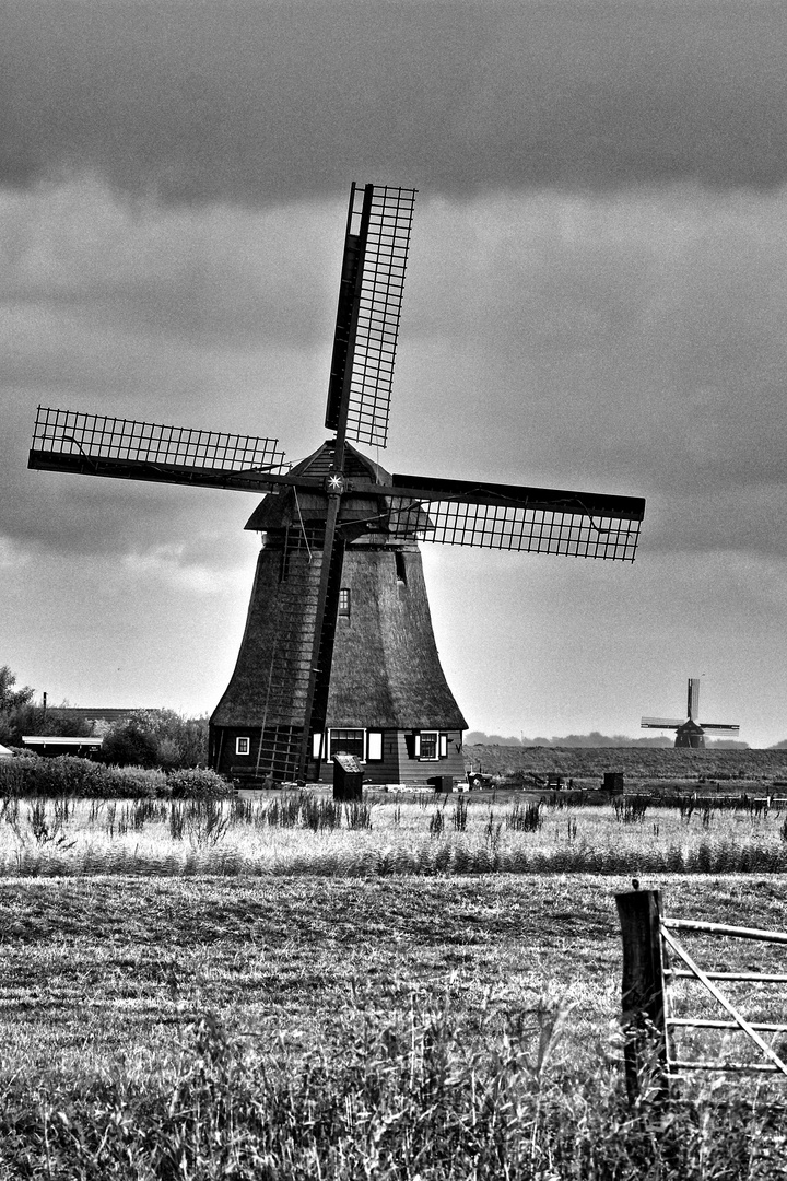 Mühle Nord-Holland