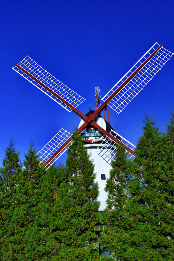 Mühle St. Margareta Westerdeichstrich / Büsum