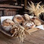 Mühle und Brot - das gehört zusammen