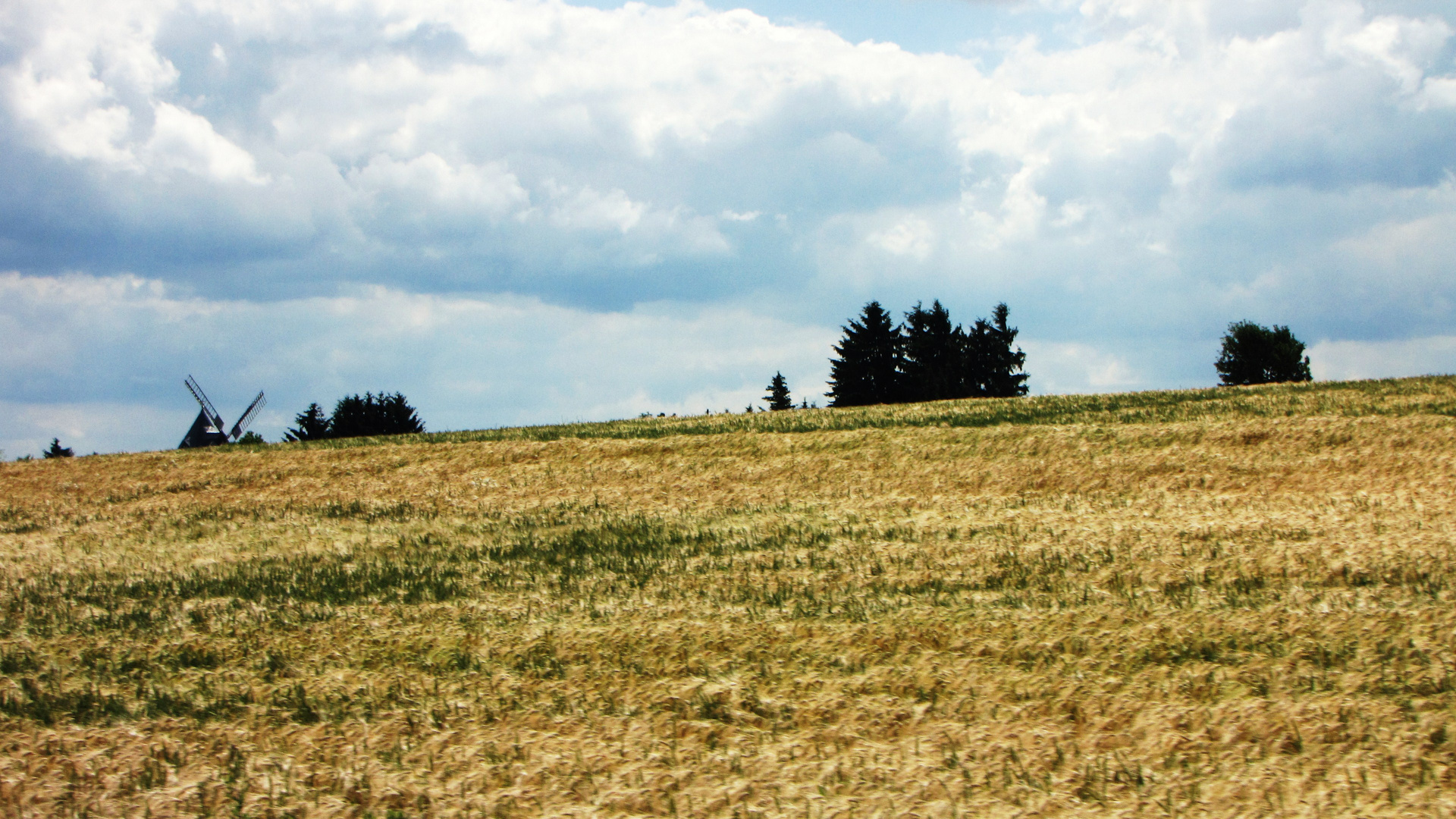 Mühle und Feld