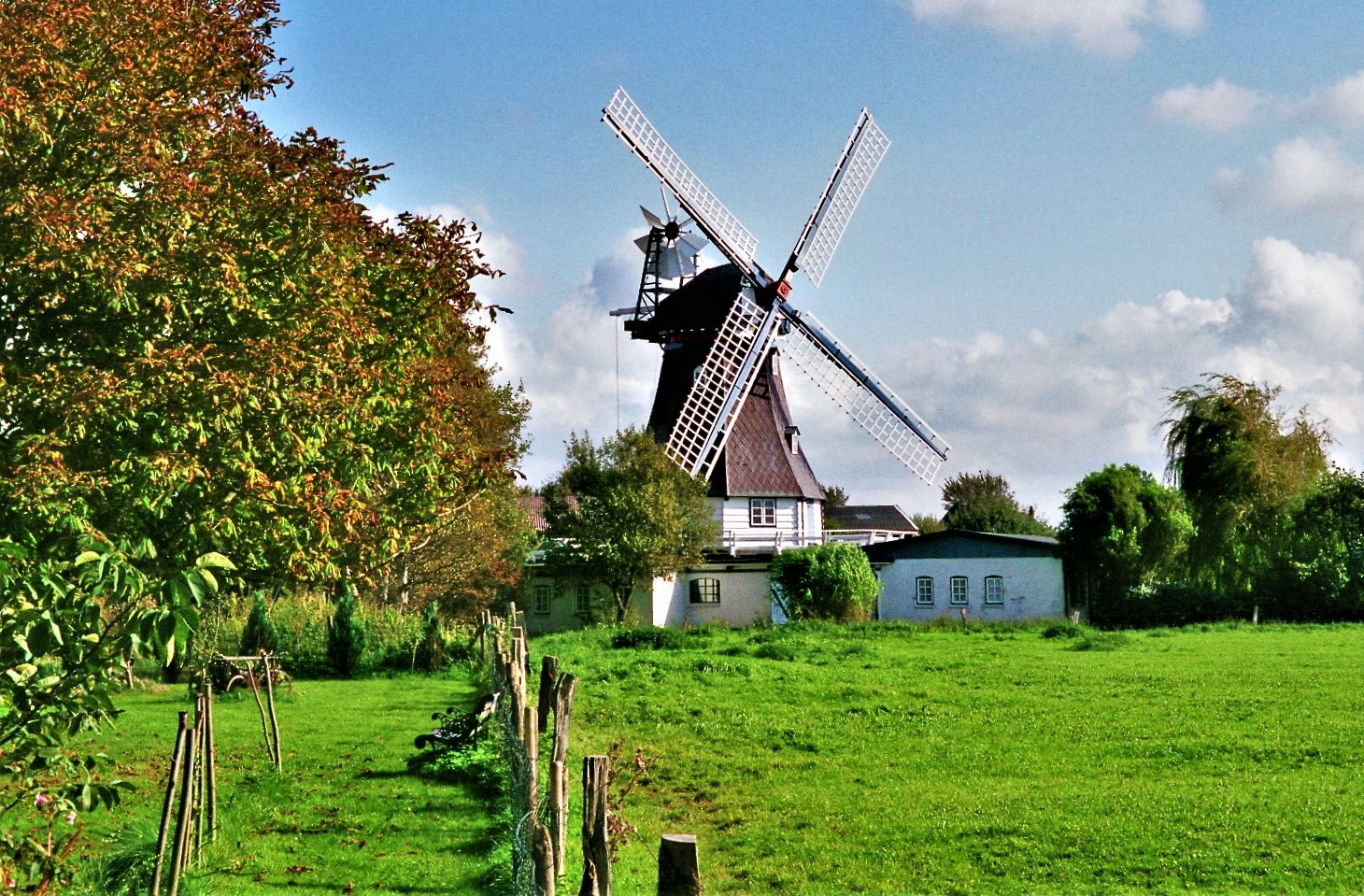 Mühle "Vergissmeinnicht"