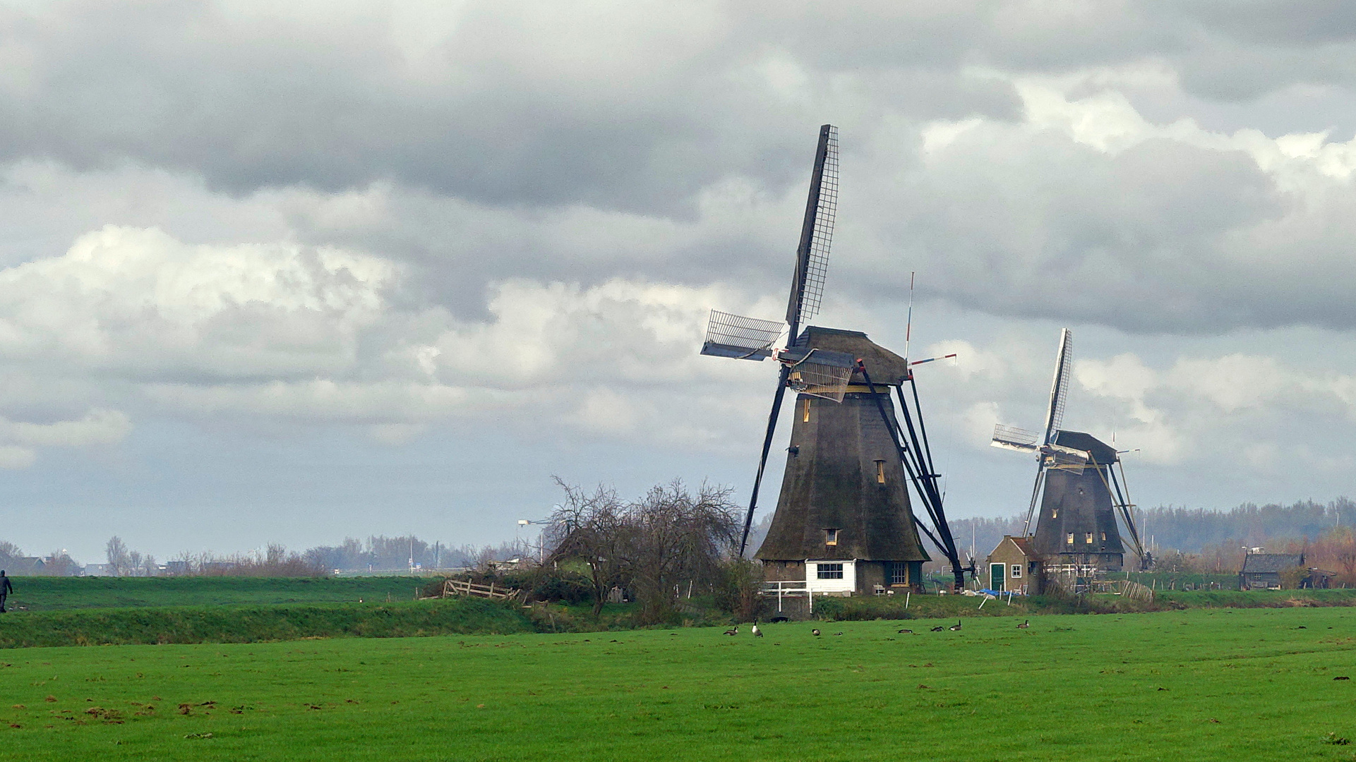 Mühle von Kinderdijk