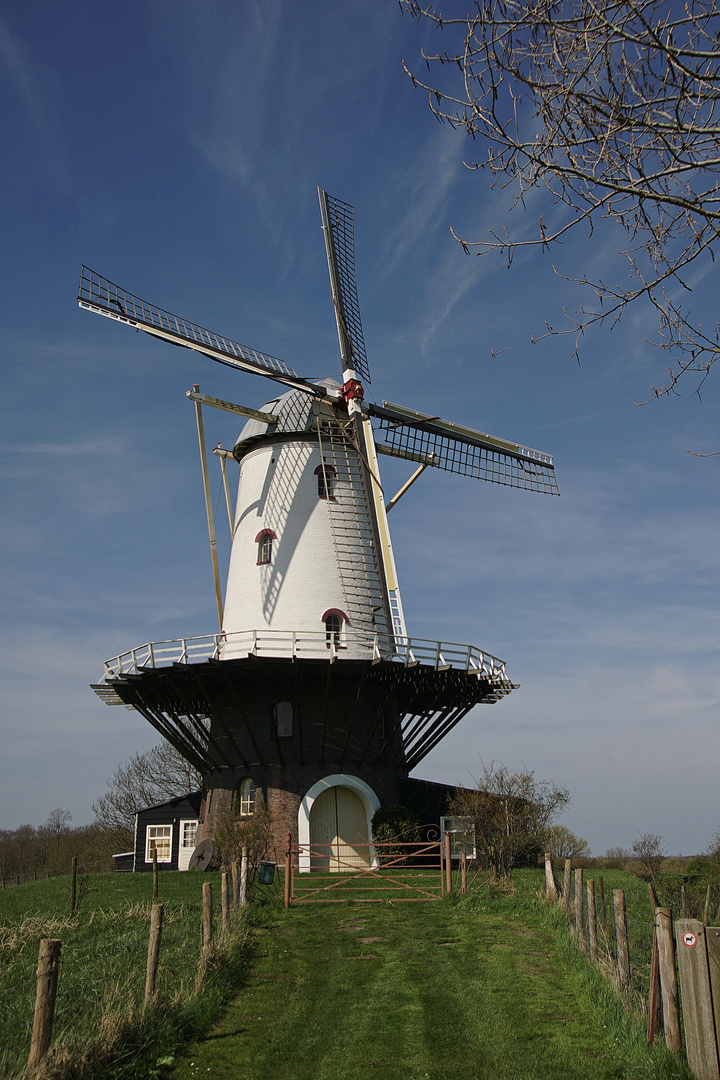 Mühle von Veere