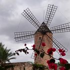 Mühlen (14) – Moli d’en Pau – Sineu, Mallorca
