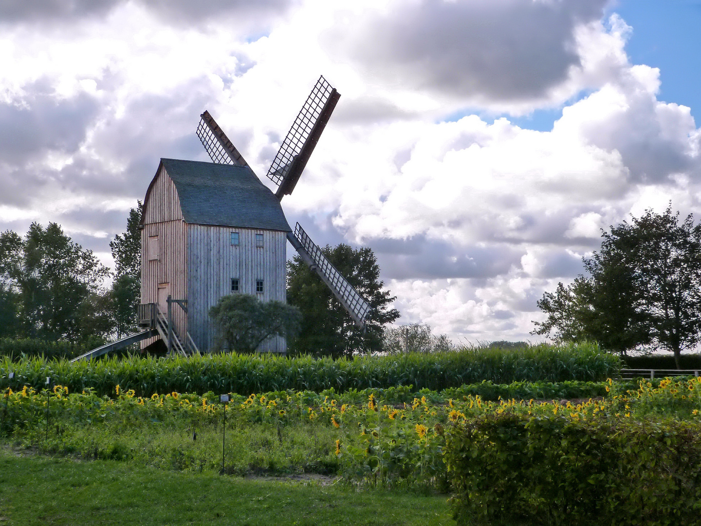 Mühlen (15) – Bockwindmühle Klockenhagen