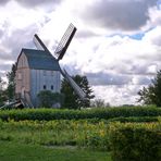 Mühlen (15) – Bockwindmühle Klockenhagen