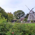 Mühlen (16) – „Kaffeemühle“ Ahrenshoop