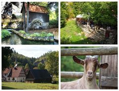 Mühlen im Kleinziegenfelder Tal