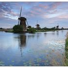 Mühlen von Kinderdijk am Morgen 5