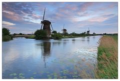 Mühlen von Kinderdijk am Morgen 5