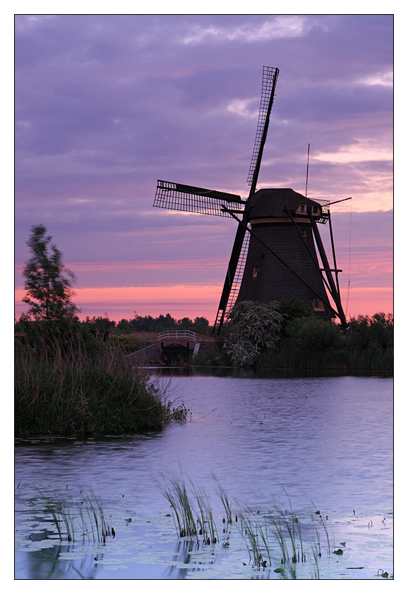 Mühlen von Kinderdijk am Morgen 6