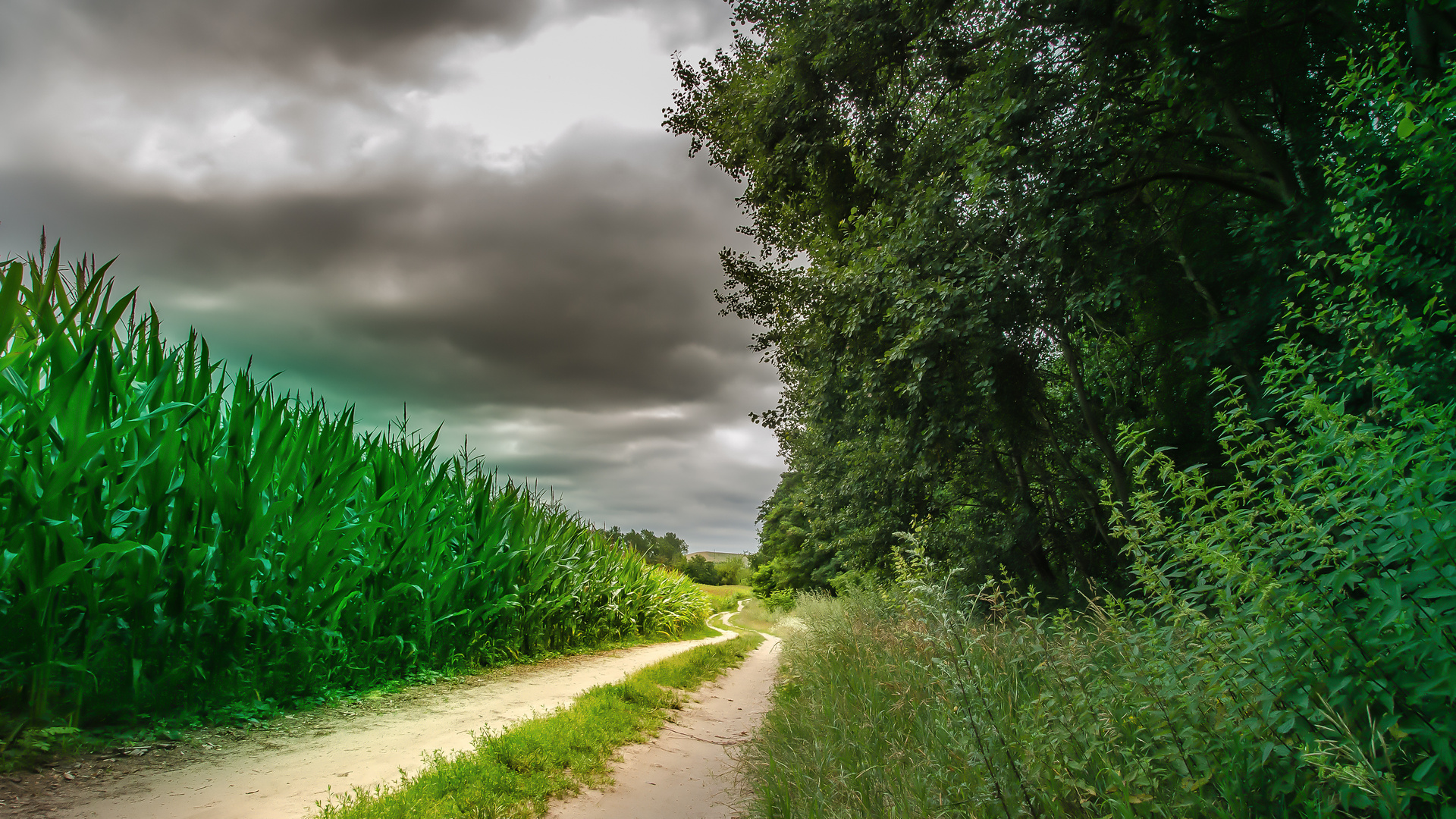 Mühlenbeck Feldweg