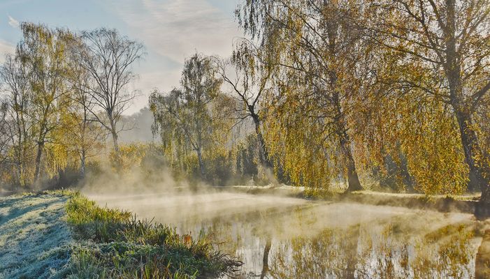 Mühlengraben im Gegenlicht....