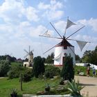 Mühlenmuseum Gifhorn