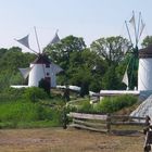 Mühlenmuseum Gifhorn