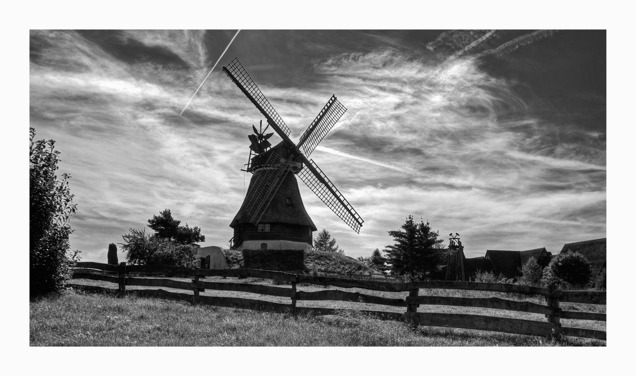 Mühlenmuseum - Gifhorn " Blick auf die Deutsche Bergholländer Mühle "