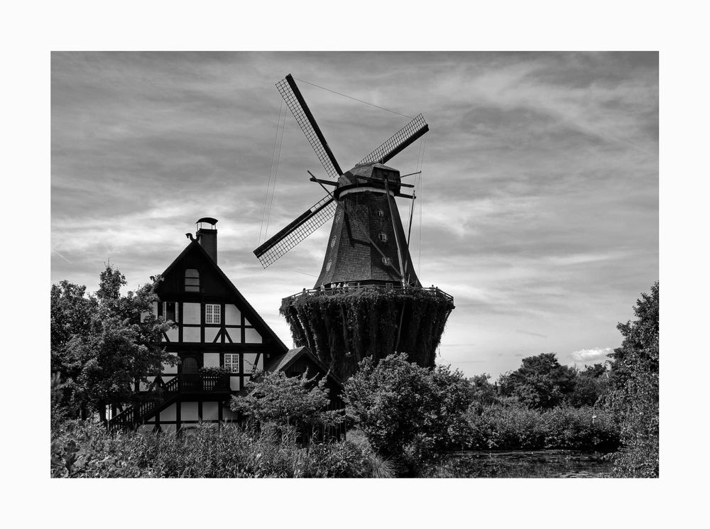 Mühlenmuseum - Gifhorn " Blick auf die Mühle Sanssouci "