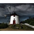 Mühlenmuseum - Gifhorn " Südländische Mühle, umgeben von einer gärtnerischen Landschaftsidylle"