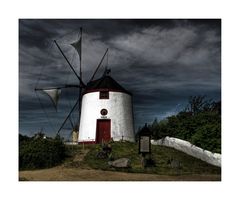 Mühlenmuseum - Gifhorn " Südländische Mühle, umgeben von einer gärtnerischen Landschaftsidylle"