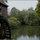 Mühlenrad und Natur pur.