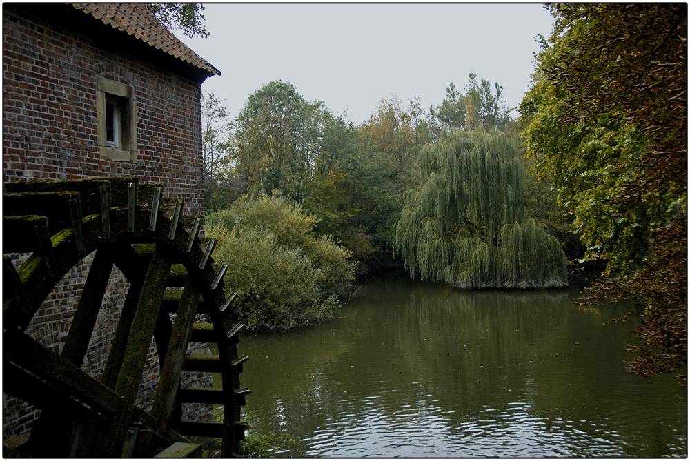 Mühlenrad und Natur pur.