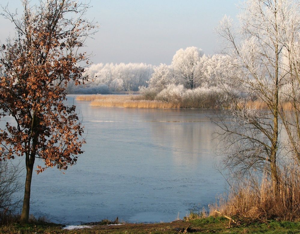 Mühlensee bei Frost