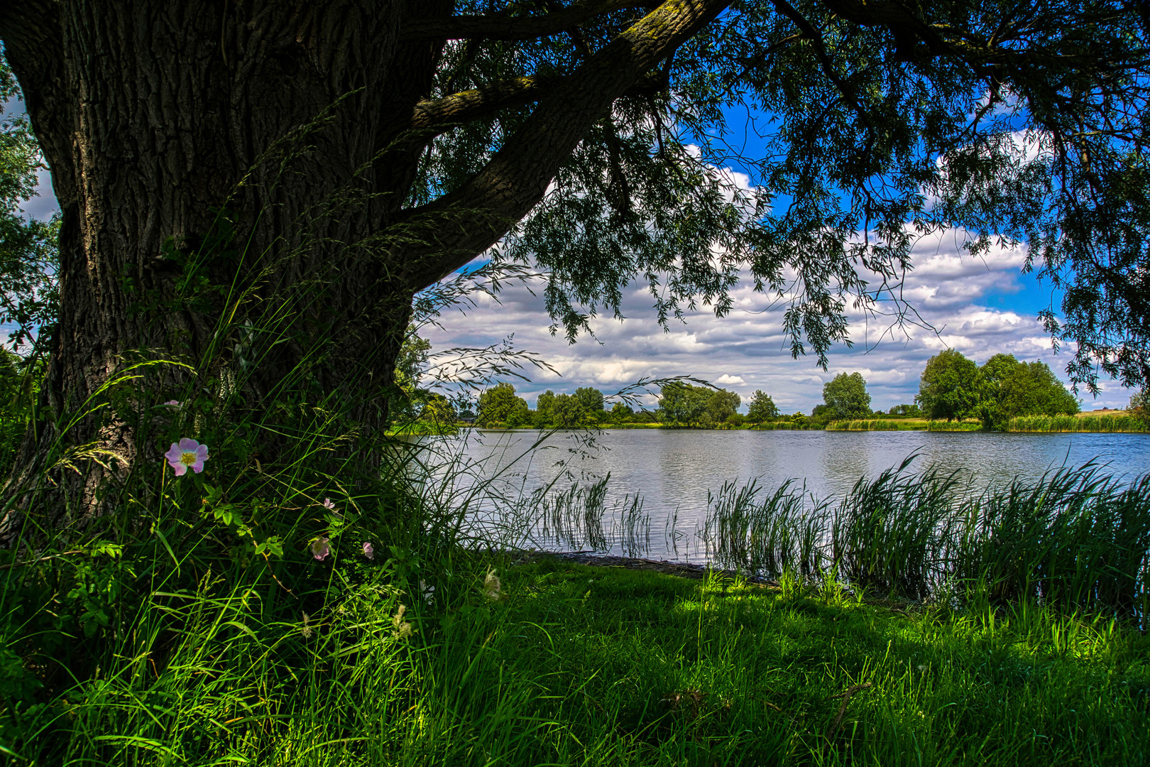 Mühlensee Brandenburg